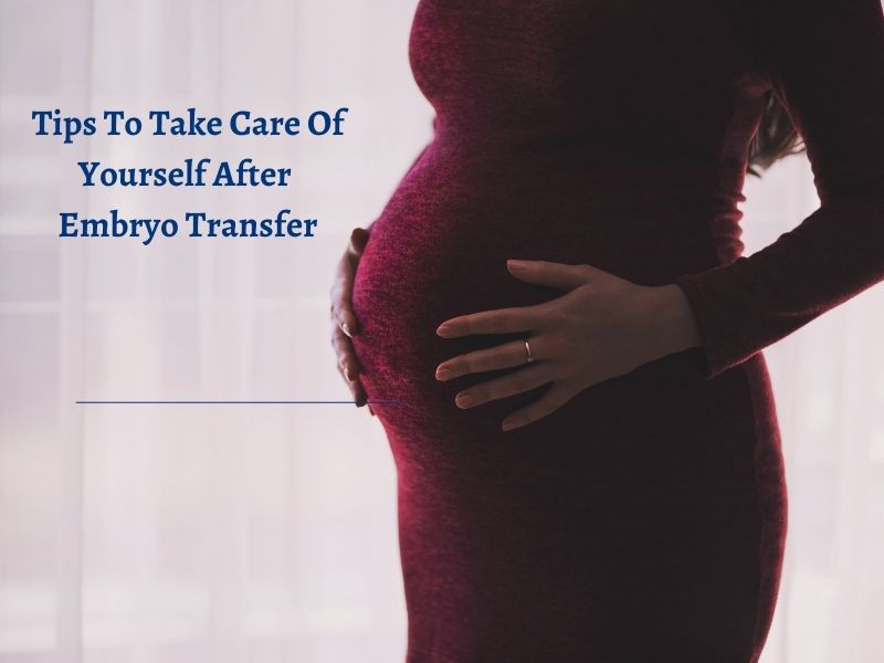 The Complete Guide to IVF Embryo Transfers
