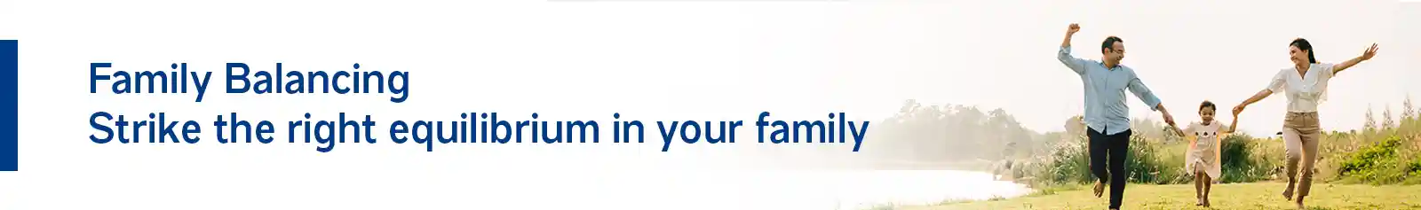 ‘Family Balancing’ - Strike the right equilibrium in your family.