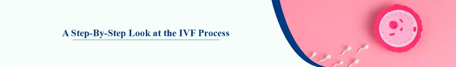 A Step-By-Step Look at the IVF Process: Journeying Together Through Fertility Treatment