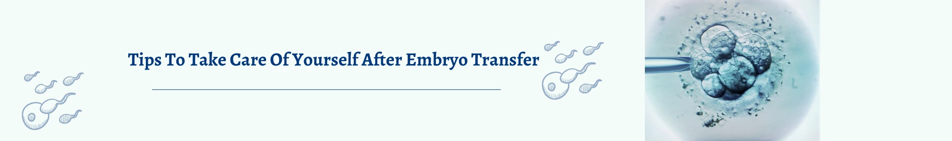 Tips To Take Care Of Yourself After Embryo Transfer