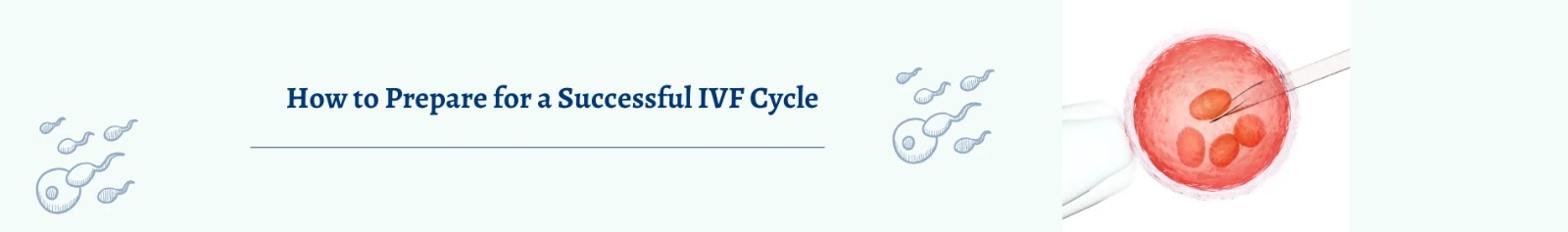 How to Prepare for a Successful IVF Cycle