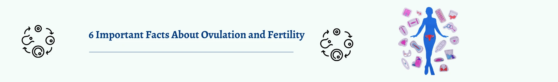 6 Important Facts About Ovulation and Fertility That Can Help You Get Pregnant Faster!