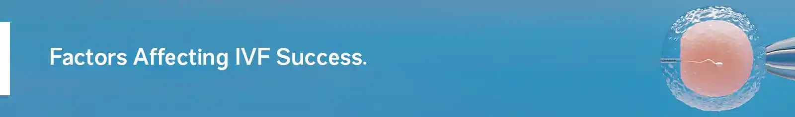 Factors Affecting IVF Success.