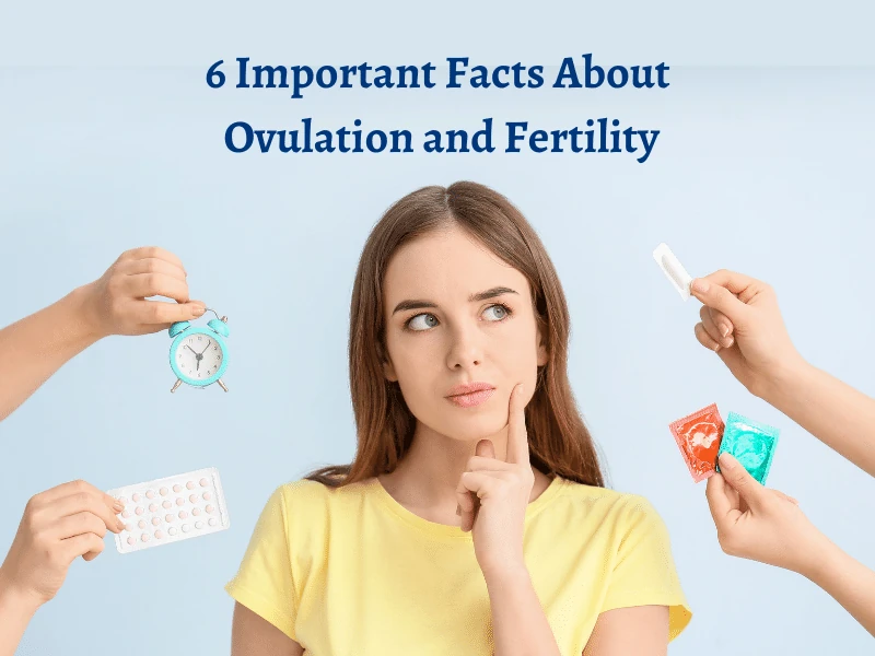 6 Important Facts About Ovulation and Fertility That Can Help You Get Pregnant Faster!