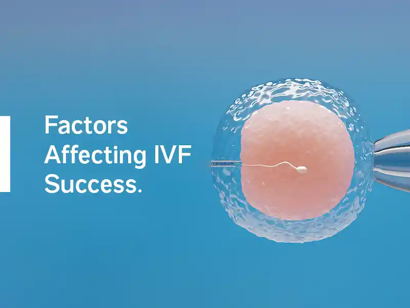 Factors Affecting IVF Success.