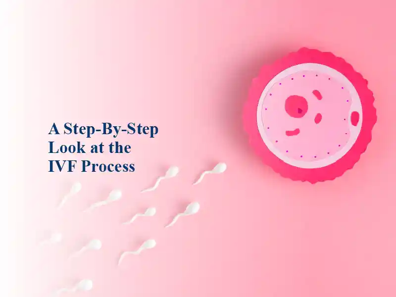 A Step-By-Step Look at the IVF Process: Journeying Together Through Fertility Treatment