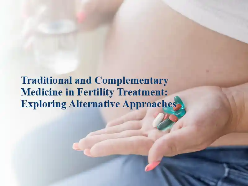 Traditional and Complementary Medicine in Fertility Treatment: Exploring Alternative Approaches