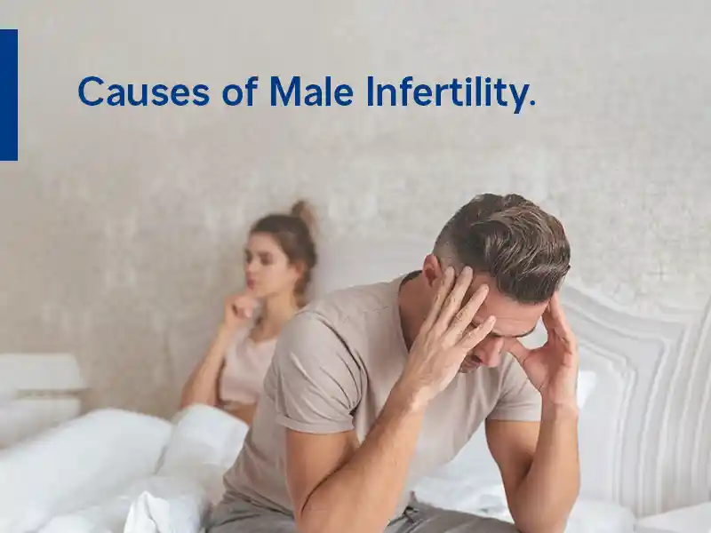 Causes of Male Infertility.