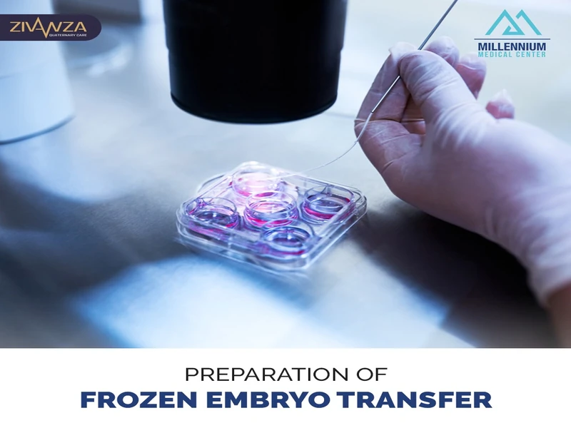 Preparation Of Frozen Embryo Transfer - Your Comprehensive Guide